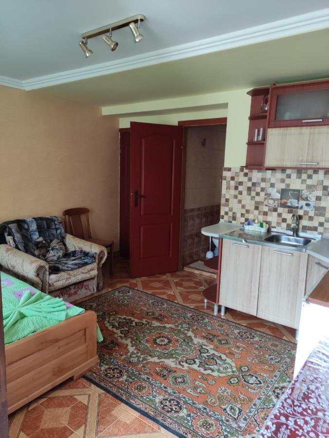 Квартира Студия С Отдельным Входом Truskavets Luaran gambar